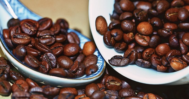 cà phê robusta