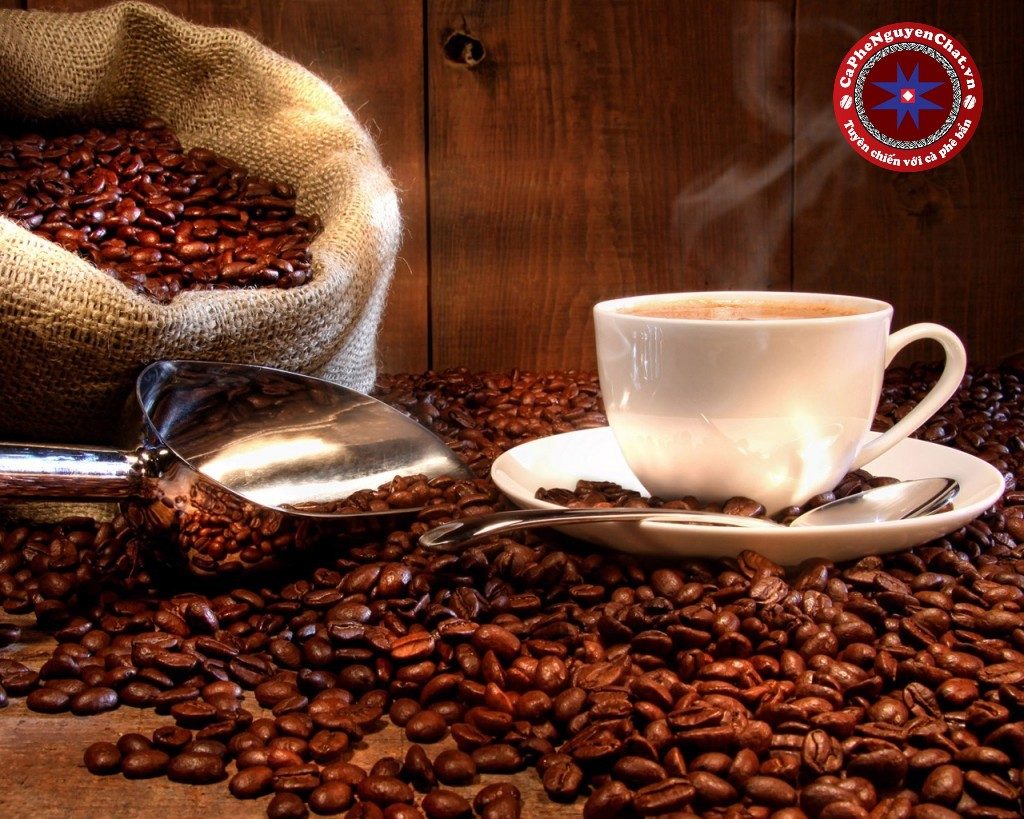 Đánh giá chất lượng cà phe