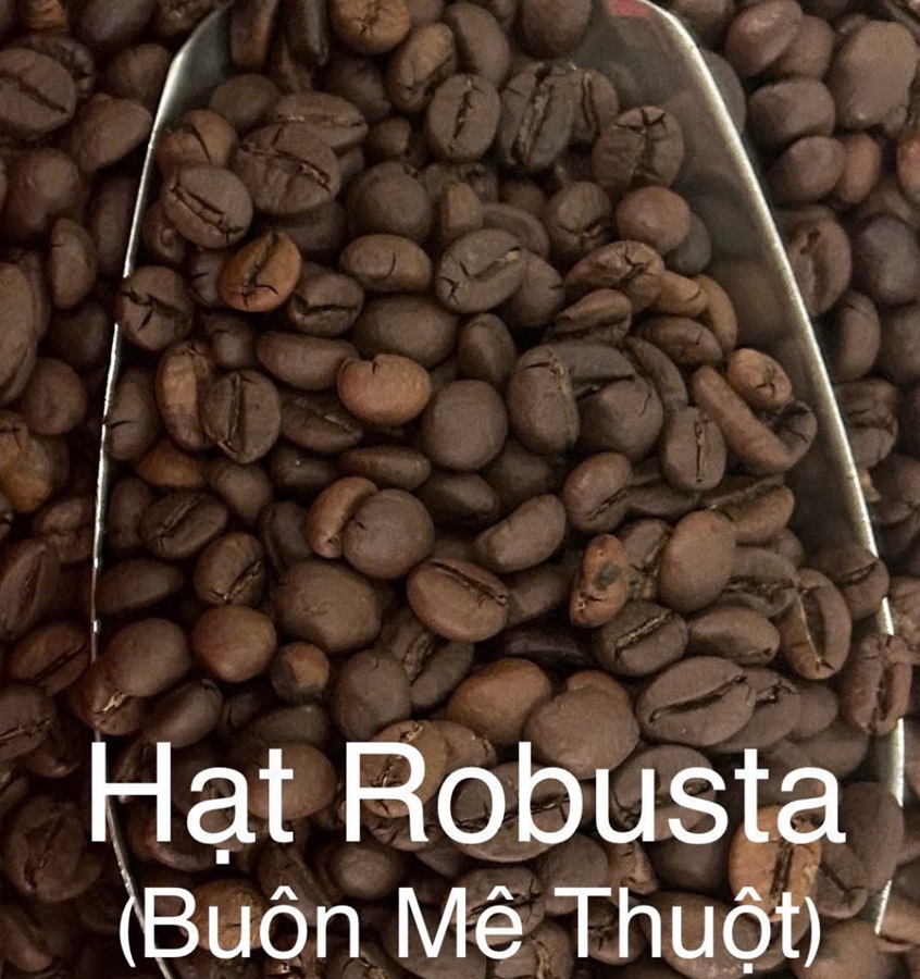 hạt robusta bmt
