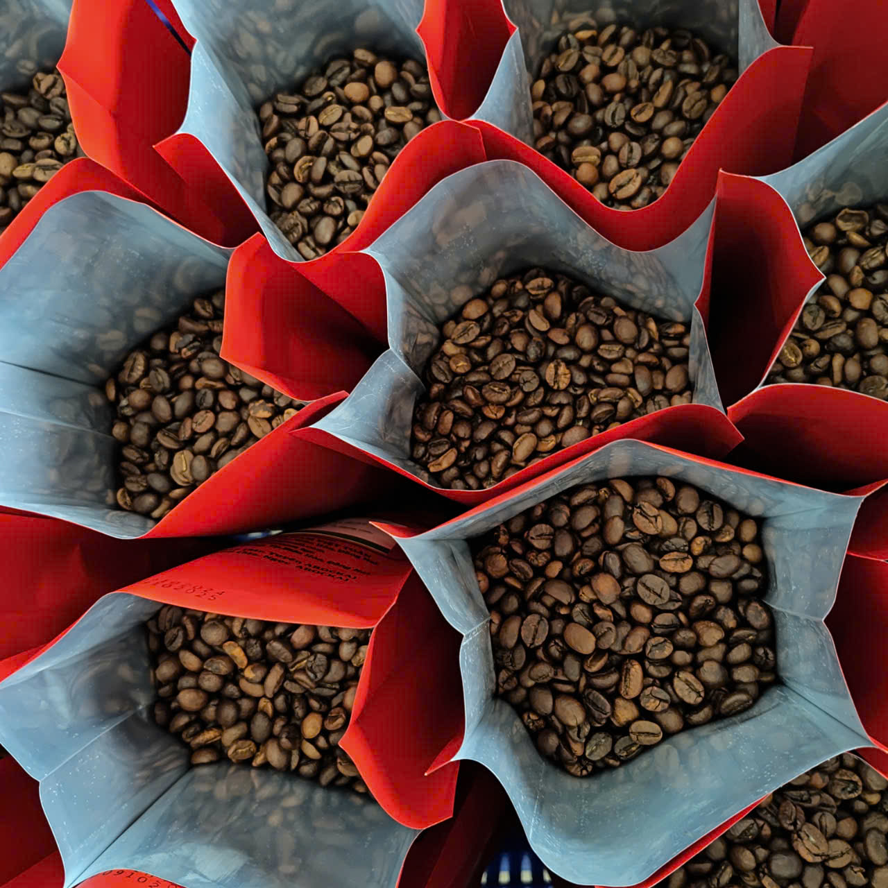 Các loại hạ cafe