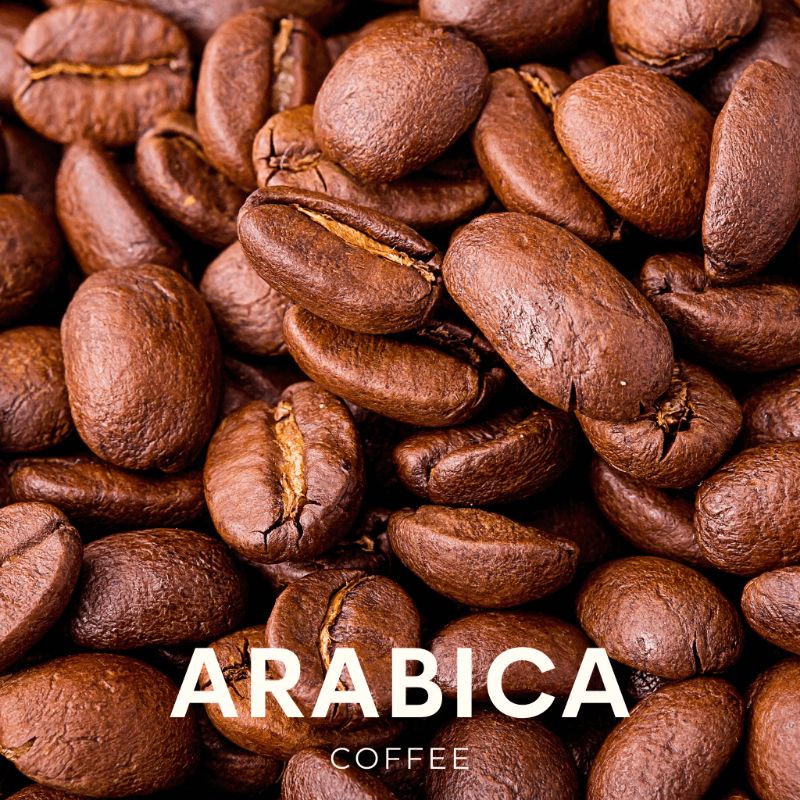 cà phê arabica rang mộc nguyên chất