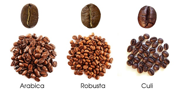 các loại hạt cafe pha máy
