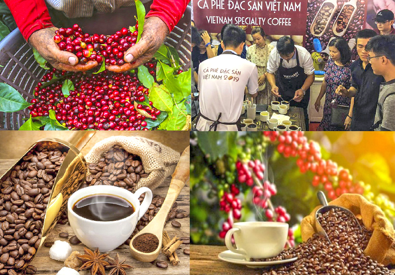 Cà phê đặc sản