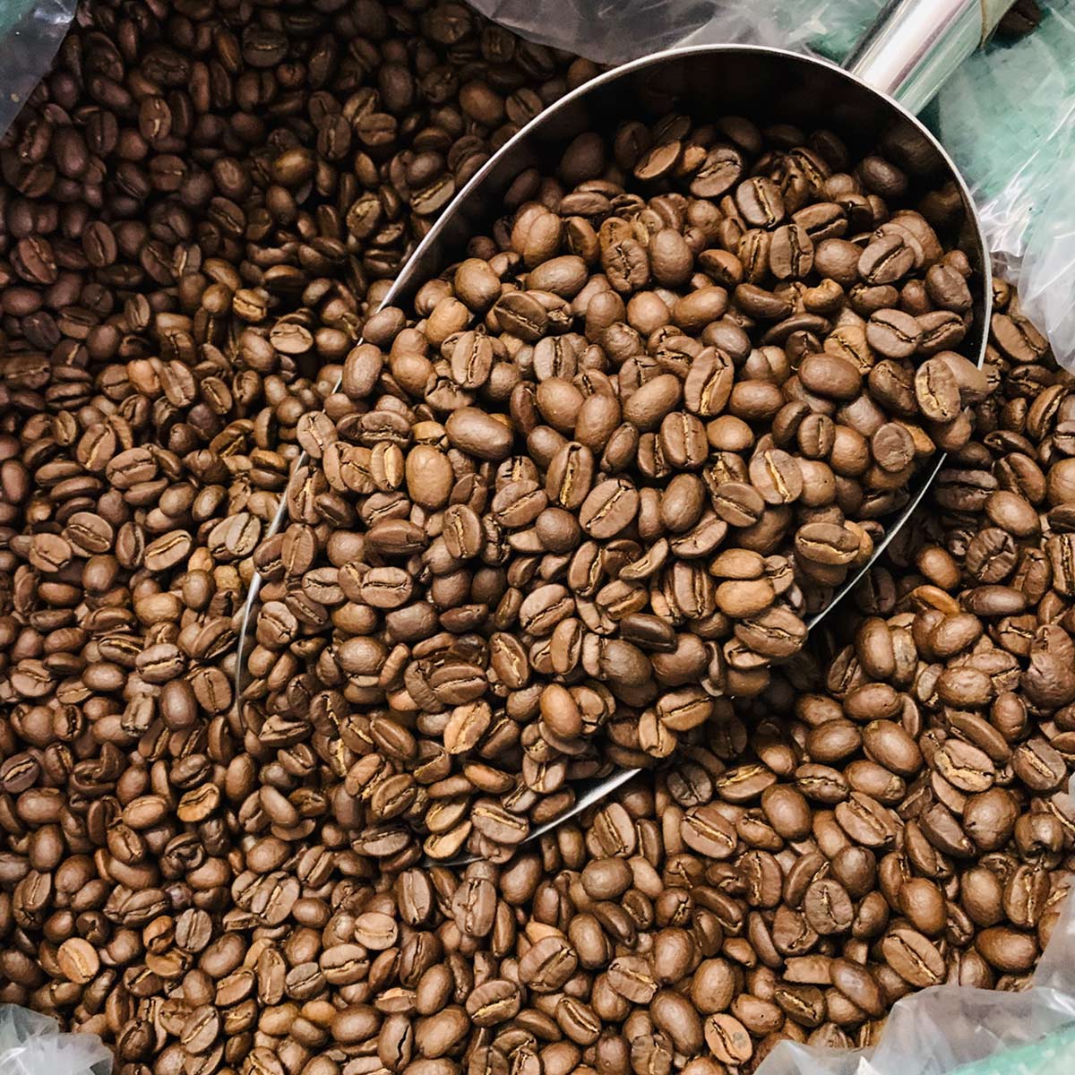 cà phê hạt arabica khe sanh