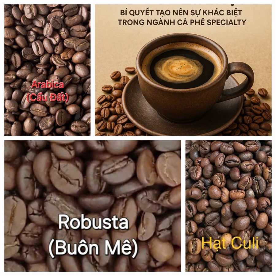 cafe hạt giá sỉ đà nẵng