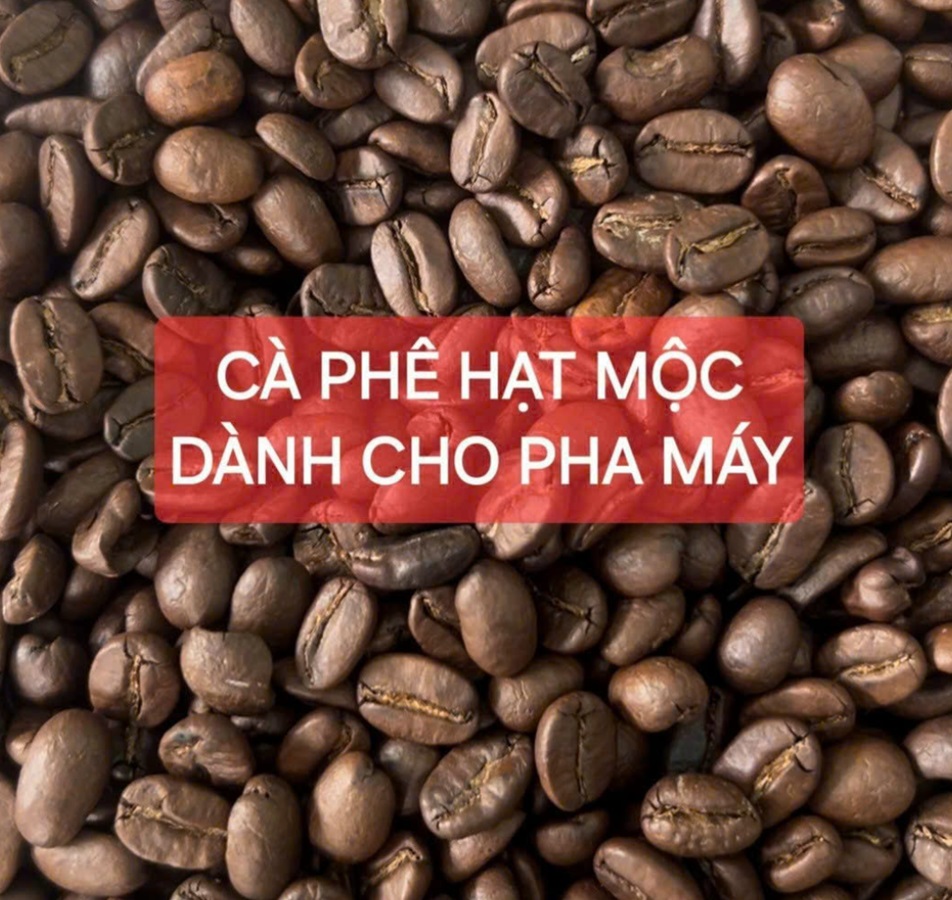 cà phê hạt mộc dành cho pha máy