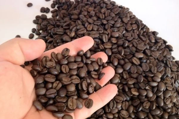 Cà phê robusta nguyên chất