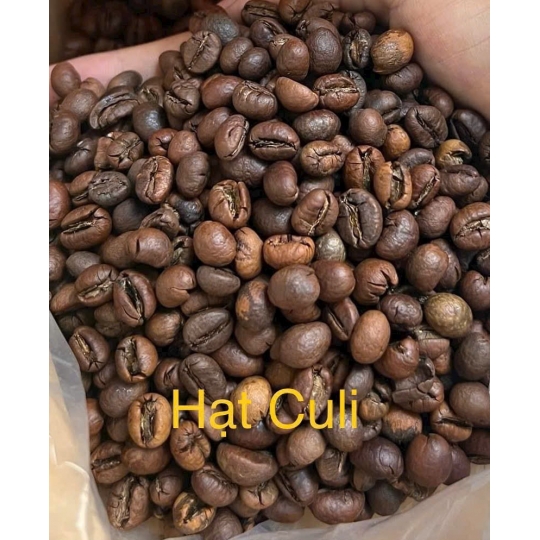 HẠT MỘC - CULI  S18 (XÁ)
