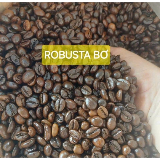 HẠT RANG BƠ - ROBUSTA S18 (XÁ)