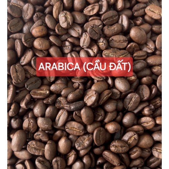 HẠT MỘC - ARABICA (CẦU ĐẤT) S18 (XÁ)